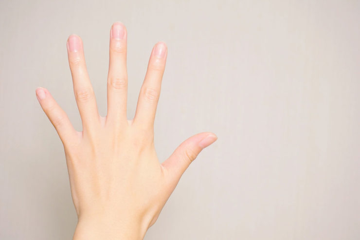 健康的で美しい手の画像