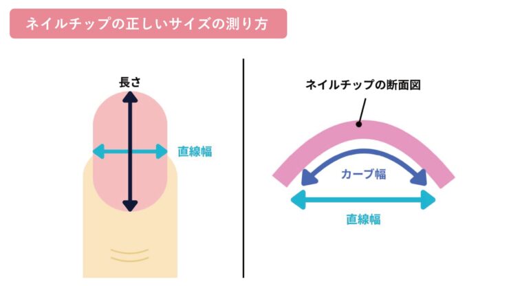 ネイルチップの正しいサイズの測り方