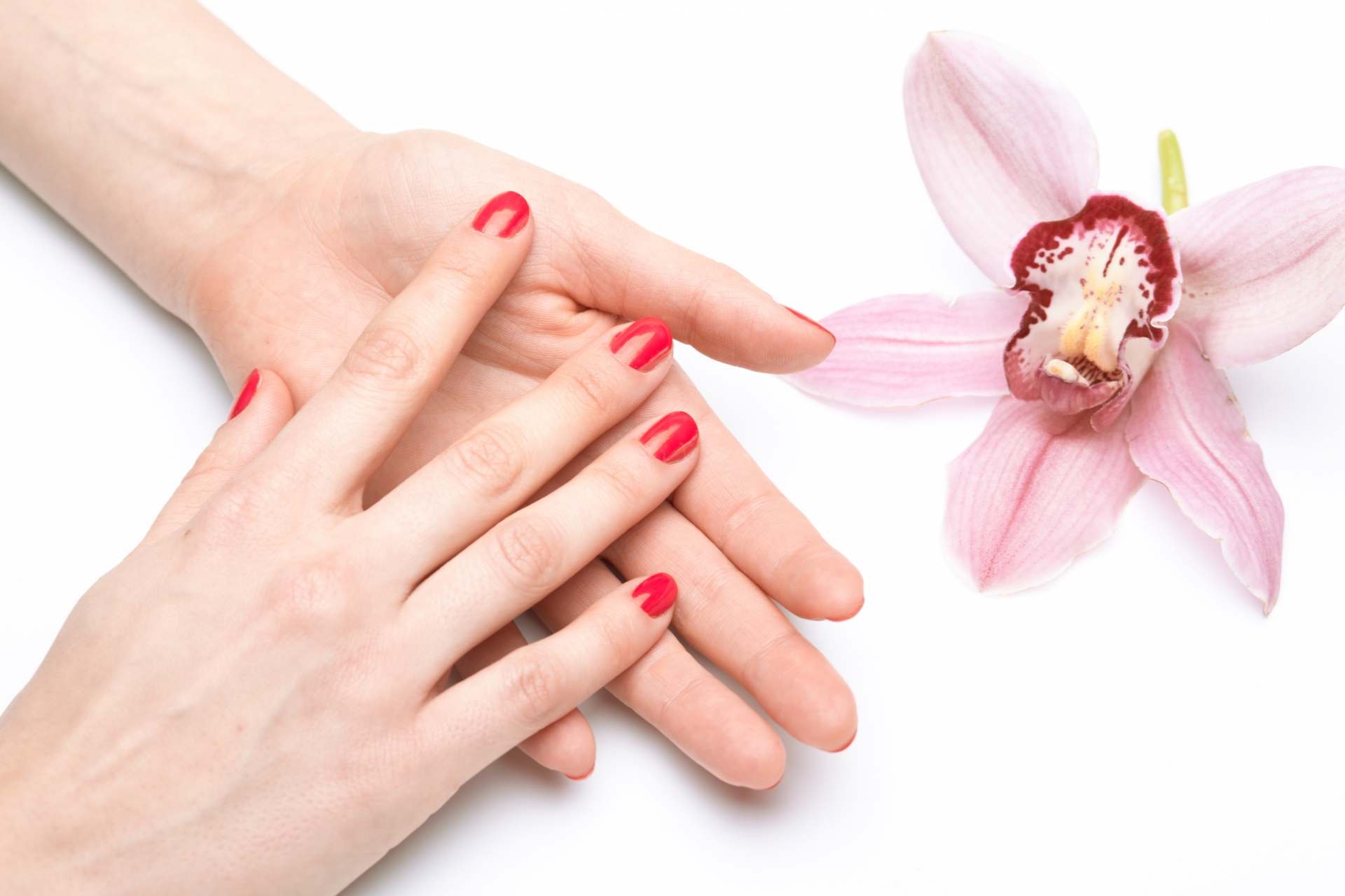 赤いワンカラーネイルの画像